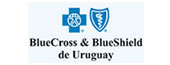 Blue Cross & Blue Shield